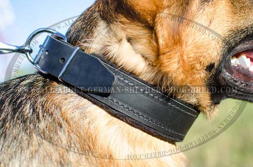 Agitation training leather collar for German Shepherd