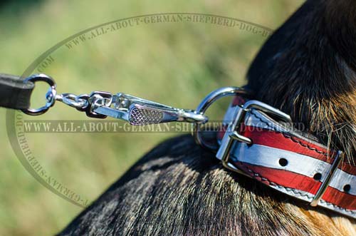 Reliable leather collar equipped with stainless hardware