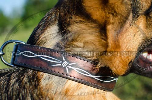 Reliable leather collar equipped with stainless hardware