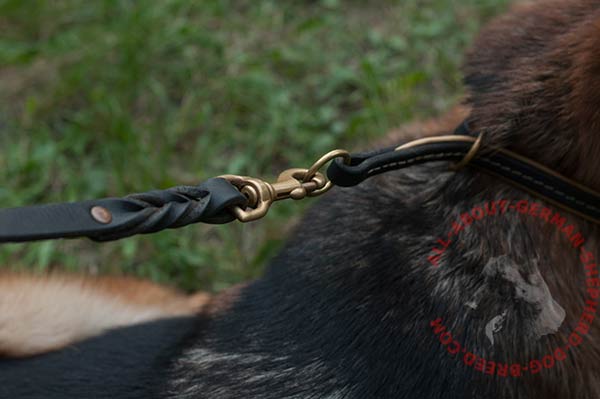 Leather German Shepherd choke collar with rust-proof fittings