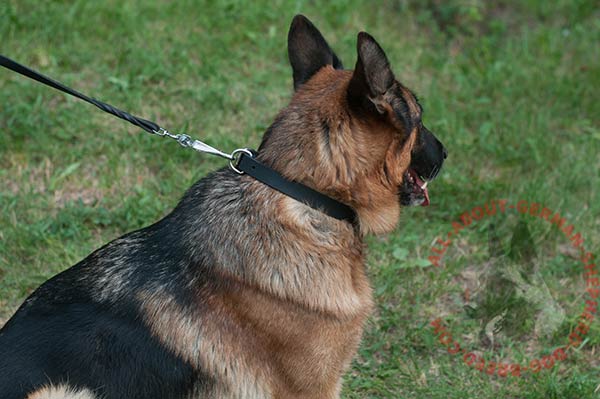 Walking and training leather German Shepherd collar 