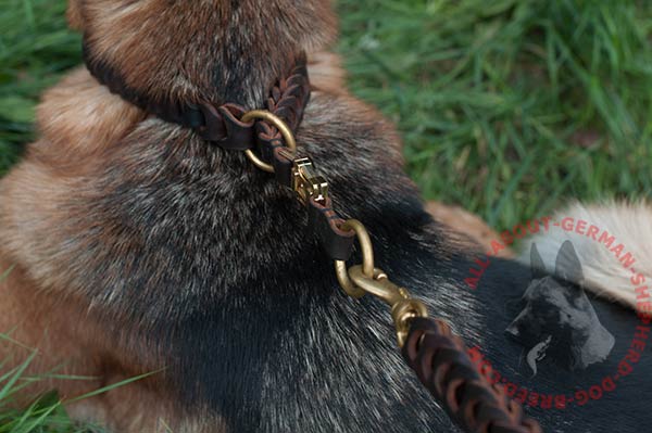 Leather German Shepherd collar with rust-proof fittings