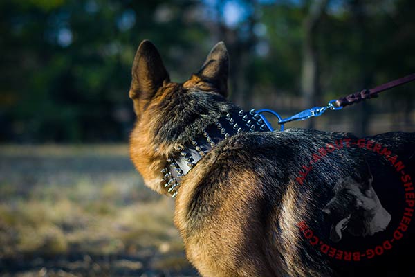 Top quality leather German Shepherd collar with spikes