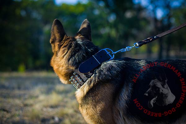 Stylish leather German Shepherd collar with rust  resistant hardware
