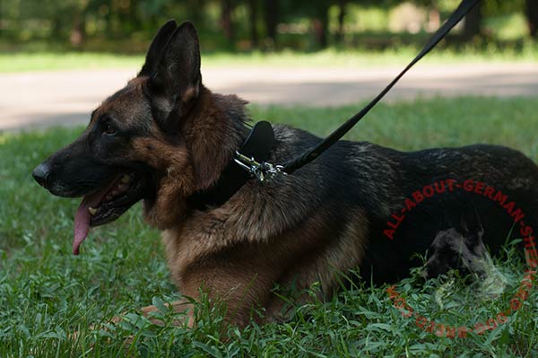 Easy-to-adjust leather German Shepherd collar