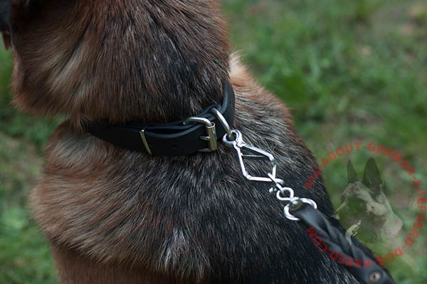 Leather German Shepherd collar with sturdy nickel plated buckle