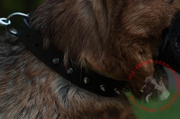 Handmade leather dog collar for German Shepherd