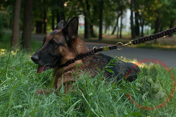 Leather choke dog collar for German Shepherd