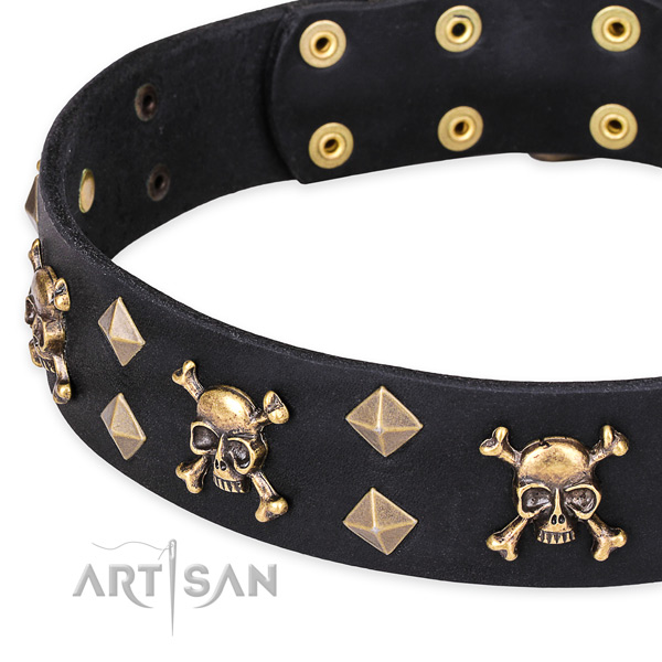 Day-to-day leather canine collar with unique design decorations