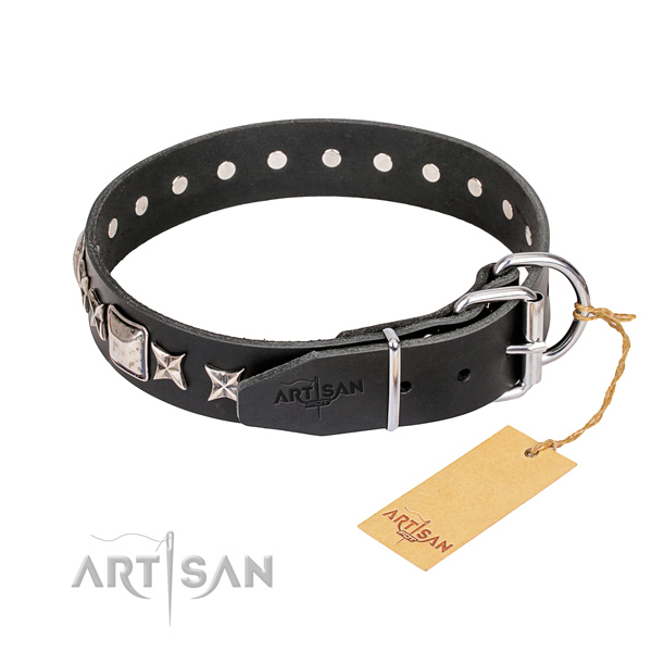 Versatile leather collar for your handsome pet