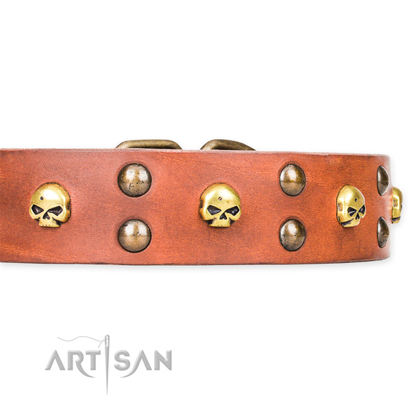 Leather dog collar with worked out edges for convenient strolling