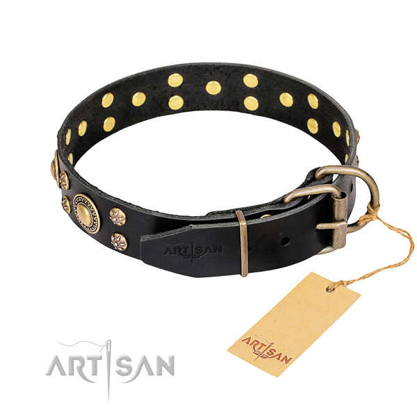 Durable leather collar for your handsome dog