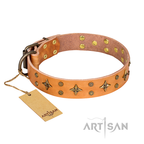 Functional leather collar for your favourite four-legged friend