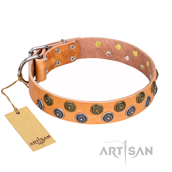 Versatile leather collar for your darling pet