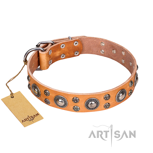 Durable leather collar for your noble dog