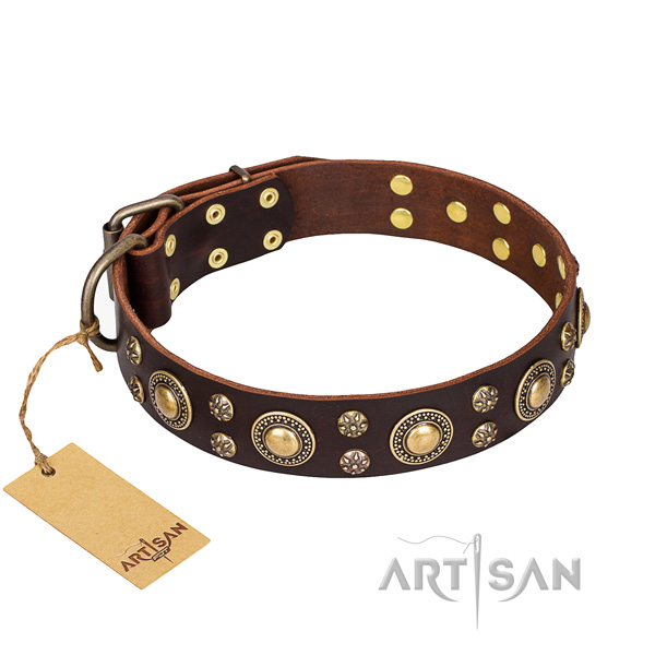 Long-lasting leather dog collar with rust-resistant details