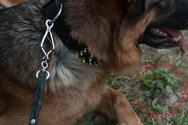 Easy adjustable leather dog collar for German Shepherd