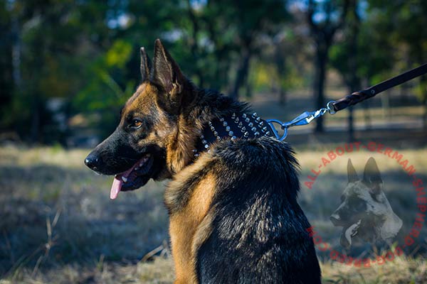 Good-looking leather dog collar for German Shepherd with rustless adornment