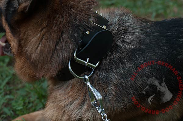 Leather dog collar for German Shepherd with handset classical buckle 