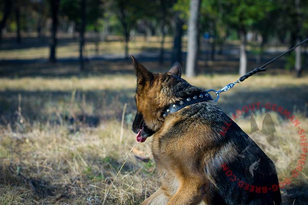 Fashion leather dog collar for German Shepherd with truncated cones