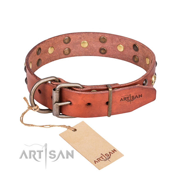 Hardwearing leather dog collar with reliable details