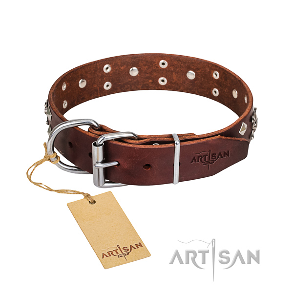 Long-lasting leather dog collar with sturdy details
