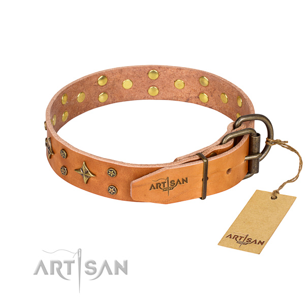 Hardwearing leather dog collar with non-corrosive fittings