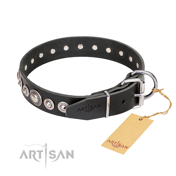 Reliable leather dog collar with chrome plated details