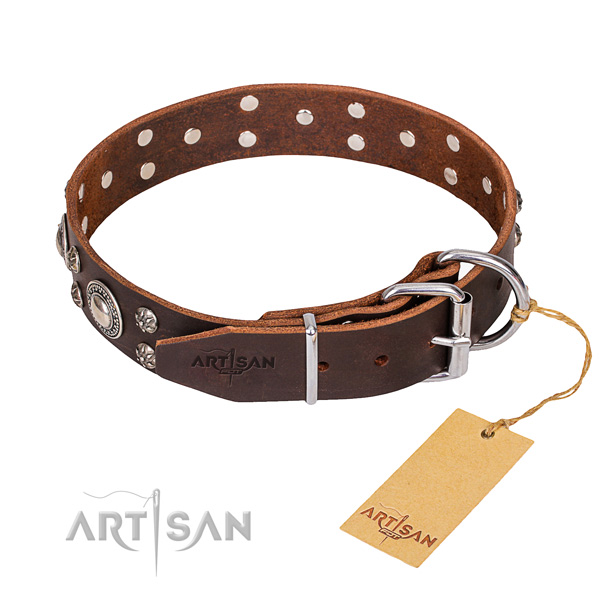Full grain leather dog collar with thoroughly polished leather surface