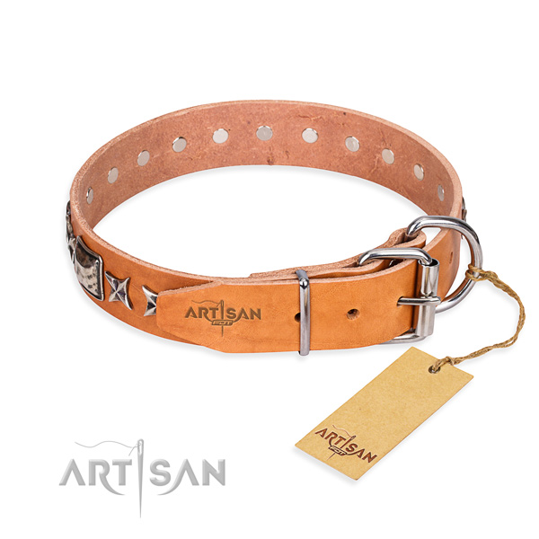 Versatile leather collar for your gorgeous pet