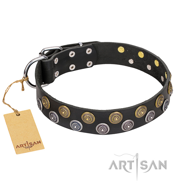 Stylish leather collar for your darling canine