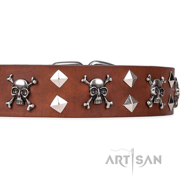 Casual style leather dog collar with exceptional adornments
