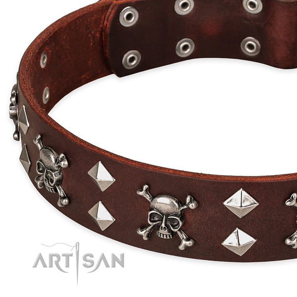 Fancy leather dog collar for reliable usage