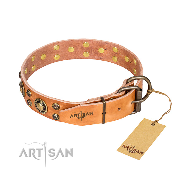 Fashionable leather collar for your handsome four-legged friend