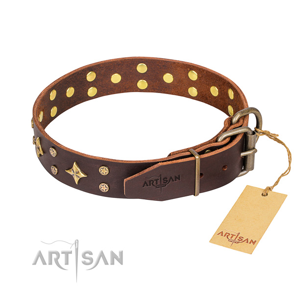 Durable leather collar for your favourite four-legged friend