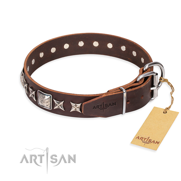 Functional leather collar for your noble four-legged friend
