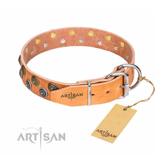 Hardwearing leather dog collar with chrome plated hardware