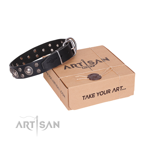 Daily leather dog collar with cute embellishments
