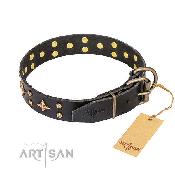 Heavy-duty leather dog collar with sturdy details