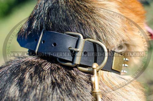 Leather dog collar with buckle and D-ring