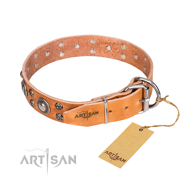 Reliable leather dog collar with corrosion-resistant fittings