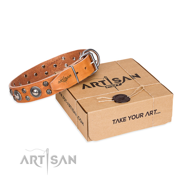 Everyday leather dog collar with stunning decorations