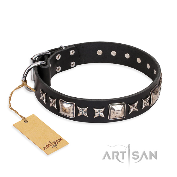 Heavy-duty leather dog collar with riveted elements