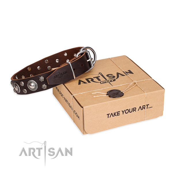 Everyday leather dog collar with exceptional embellishments