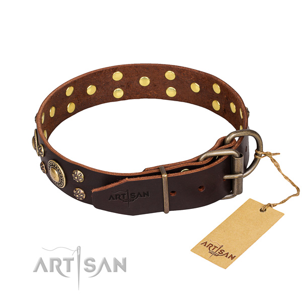 Everyday leather collar for your favourite canine
