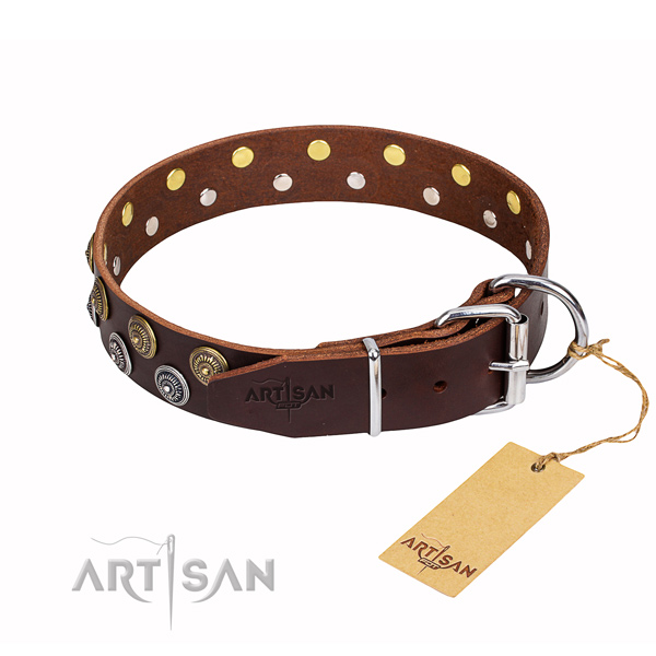 Durable leather collar for your darling canine