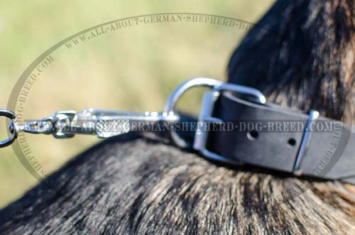  Multifunctional leather collar with buckle and D-ring