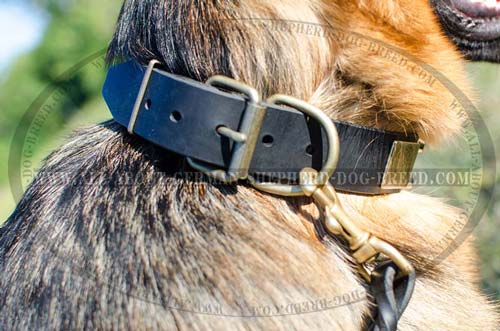 Comfy leather dog collar with nickel buckle and D-ring