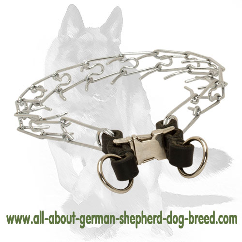 pinch dog collar