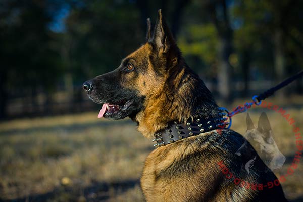 Noteworthy leather dog collar for German Shepherd with spikes